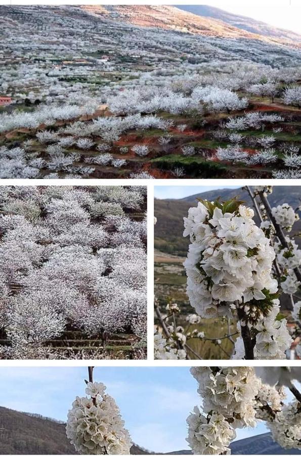 Apartamentos Rurales La Vera خارانديا دي لا فيرا المظهر الخارجي الصورة